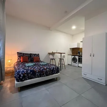 Apartment Le Nid De - 350 M Hopital